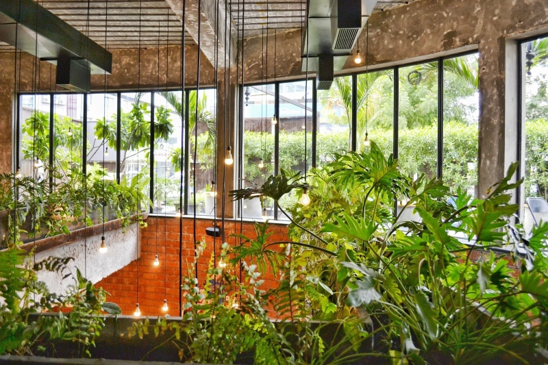 Planten kantoor