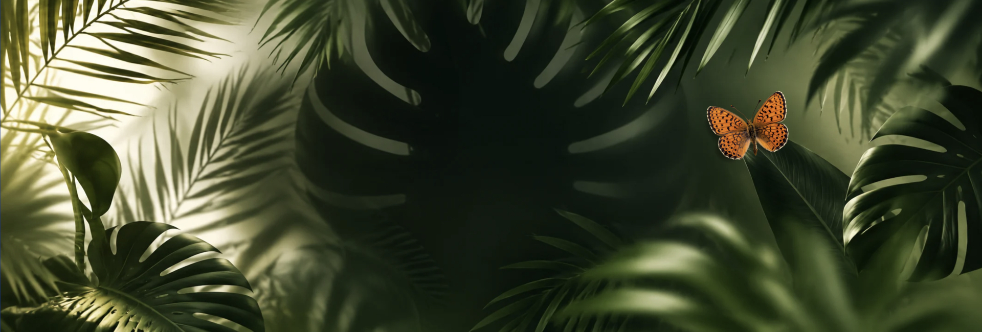 Header vlinder