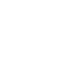 bird experience logo transparant 200x200 1 2 2