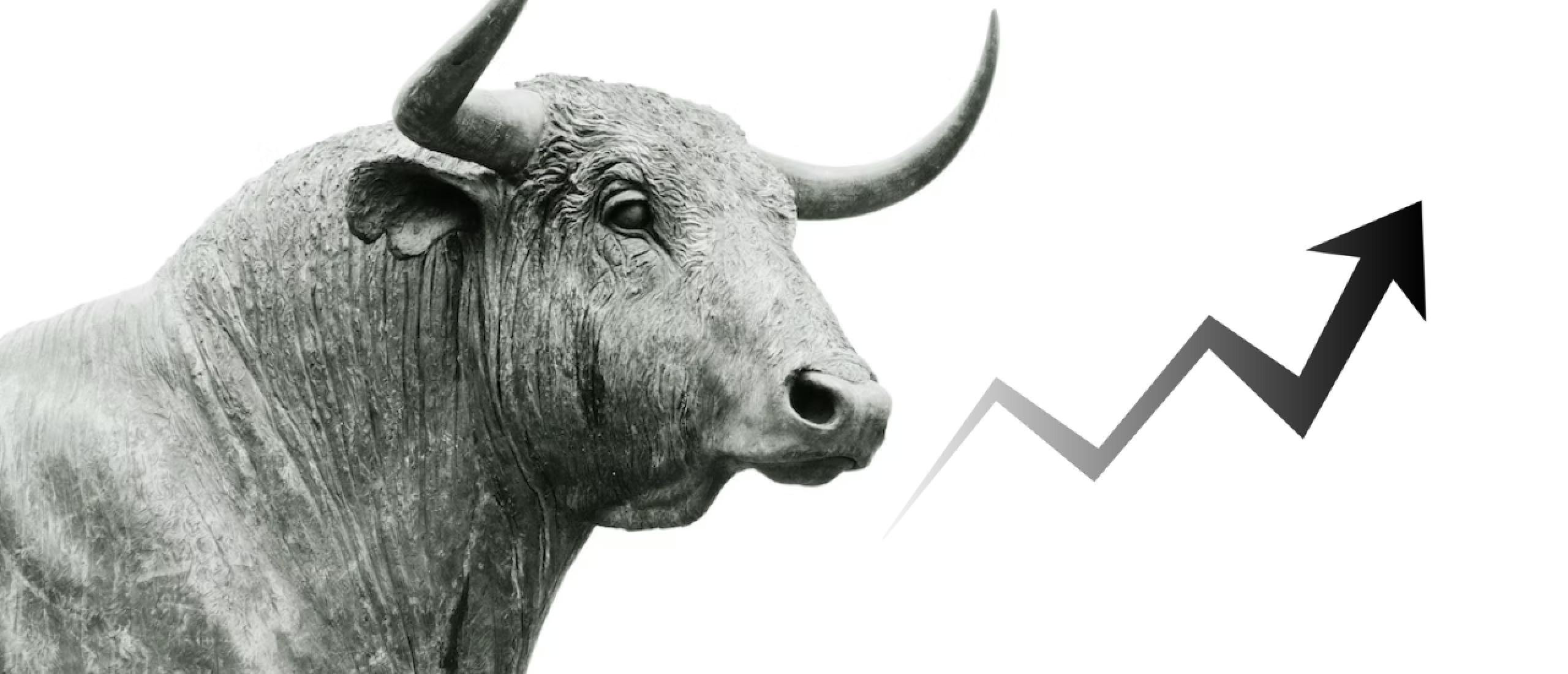 Wat is een bull market?