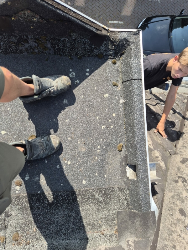 Mos kan op den duur zorgen voor vocht integratie Mos lijkt onschuldig tot er veel te veel is gegroeit, daardoor niet meer kan behandelen door alleen te verwijderen