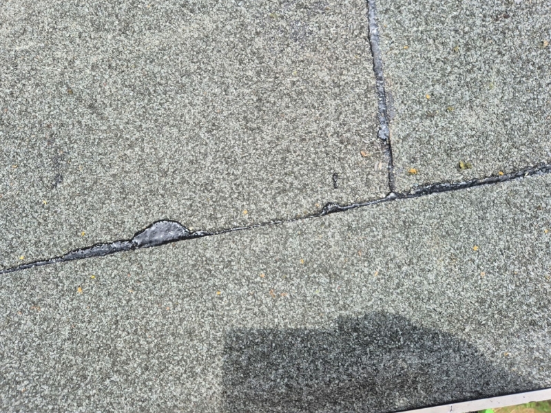 De kosten indicatie van dakleer 2025