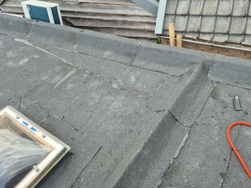 Gehele dak vervangen