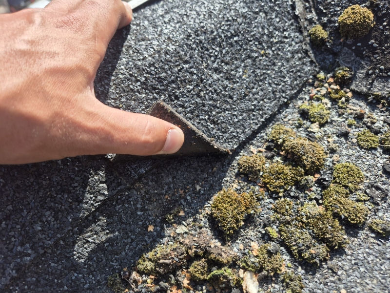 Bitumen renoveren