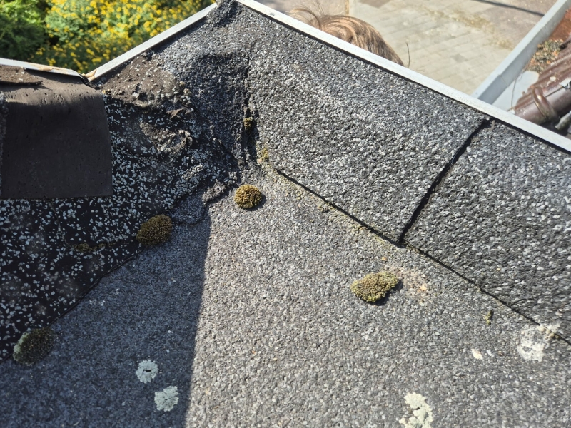 bitumen renoveren