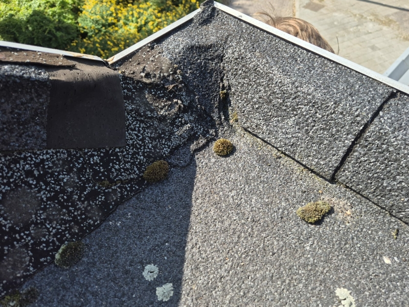 Bitumen dak voorinaspecteren