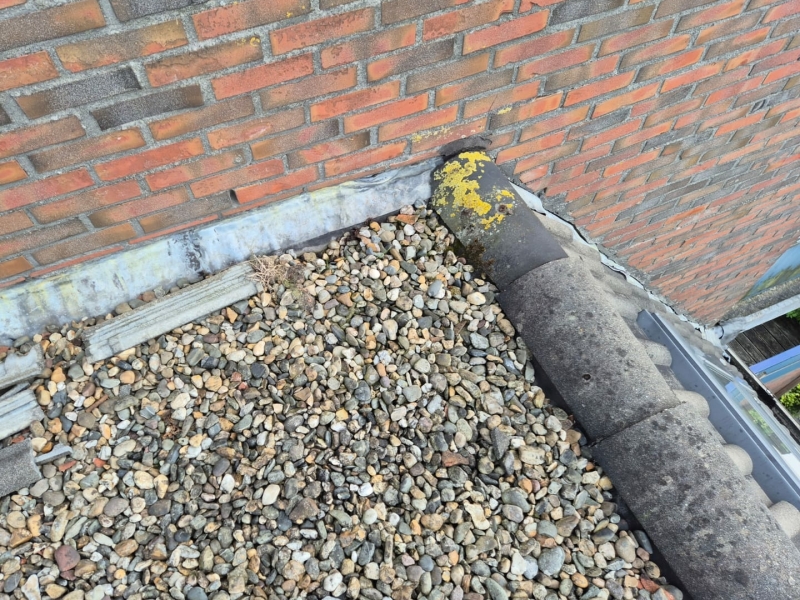 Daklood renoveren