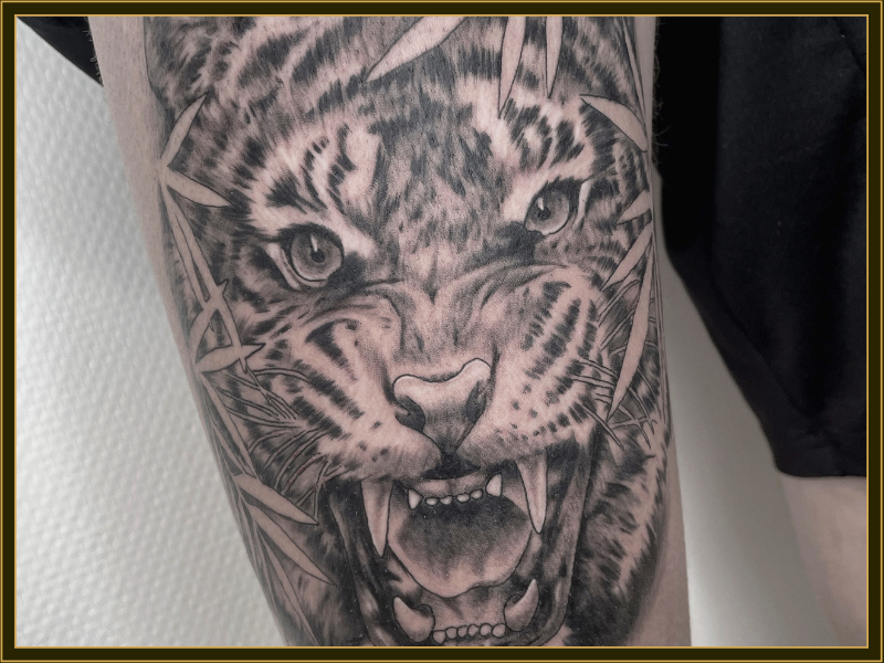 tiger tattoo