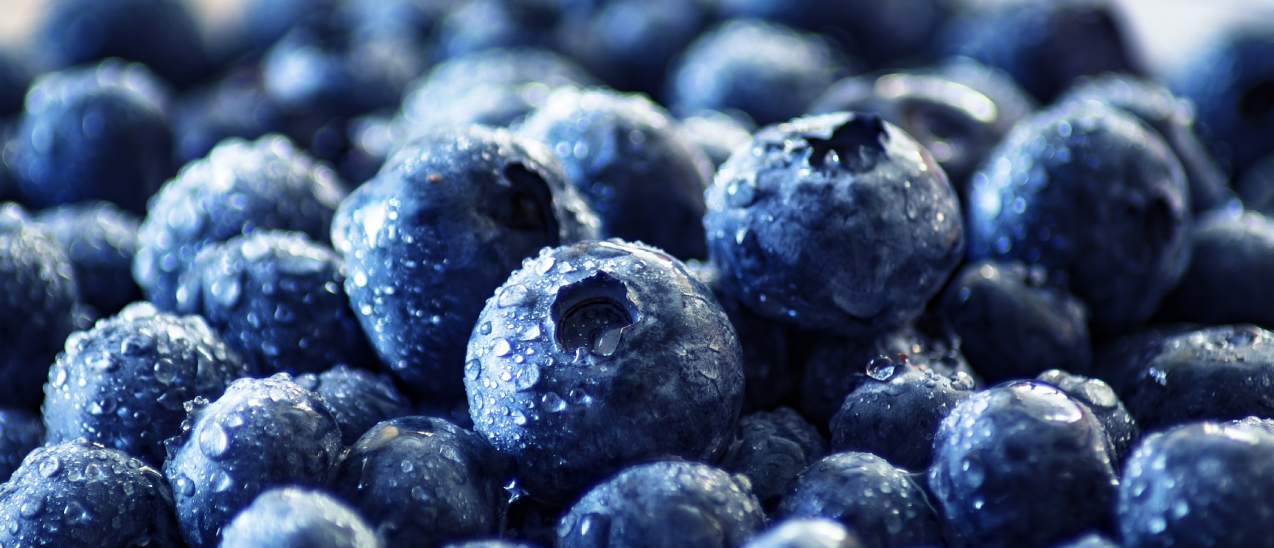 De krachtige antioxidanten van blauwe bessen