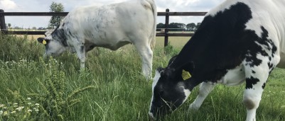 Van kostprijs gericht naar dierenwelzijn gericht