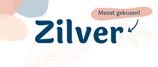 de-opties-voor-ondernemers-zilver-gezondheidsfair-blinker-events