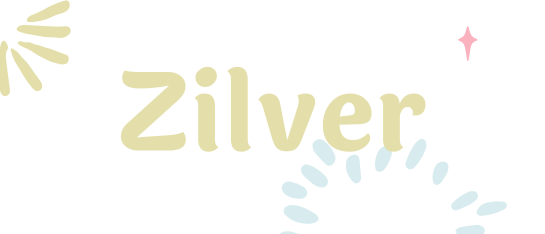 zilver-staphorst-flaneert-blinker-events