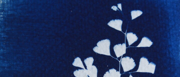 DIY Cyanotype Kit, Maak Prachtige Afdrukken met de Zon!
