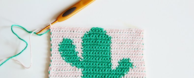 Haakpatroon Tapestry Crochet Cactus, Super Tof om te Doen!
