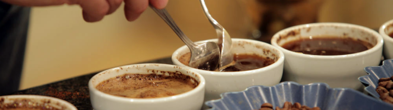 Dégustation de café - croûte de café