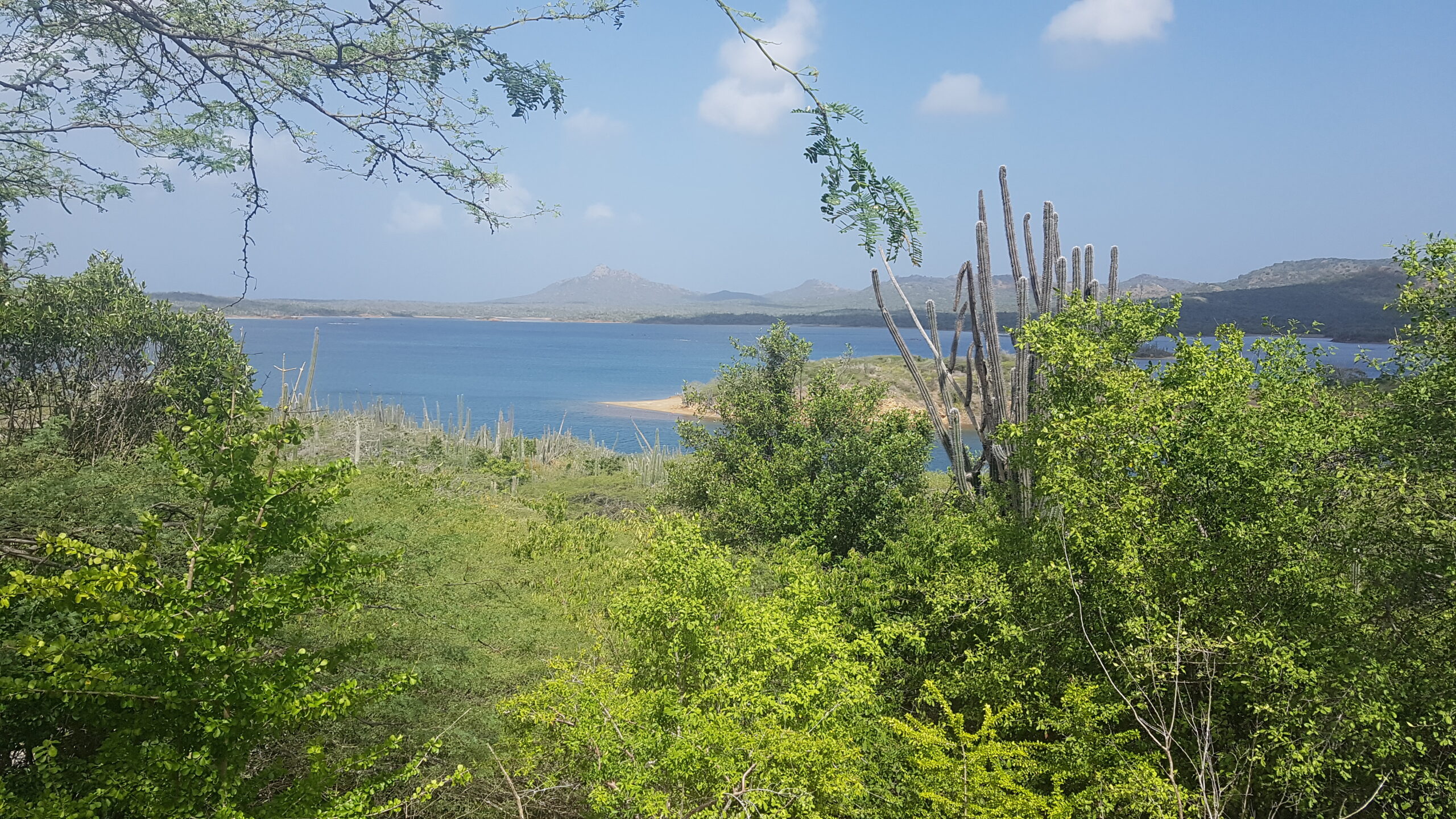 Gotomeer-bonaire