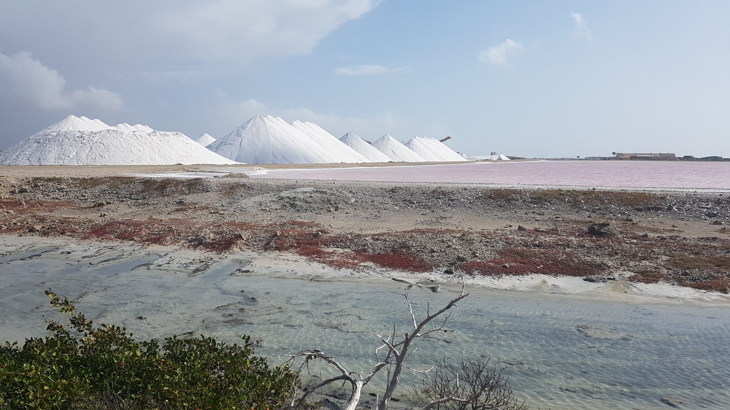 Zoutpannen-bonaire