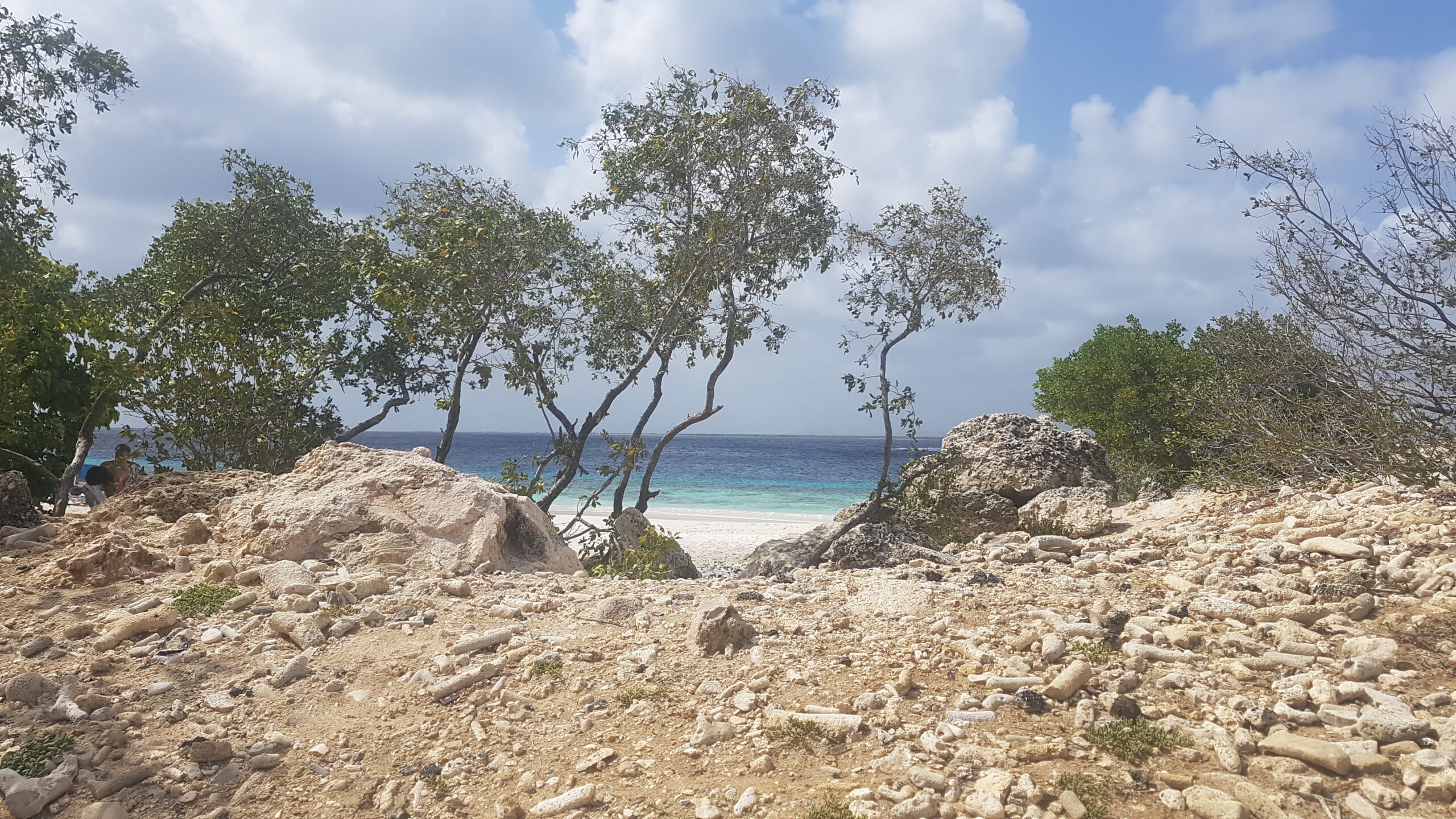 Donkey-Beach-bonaire