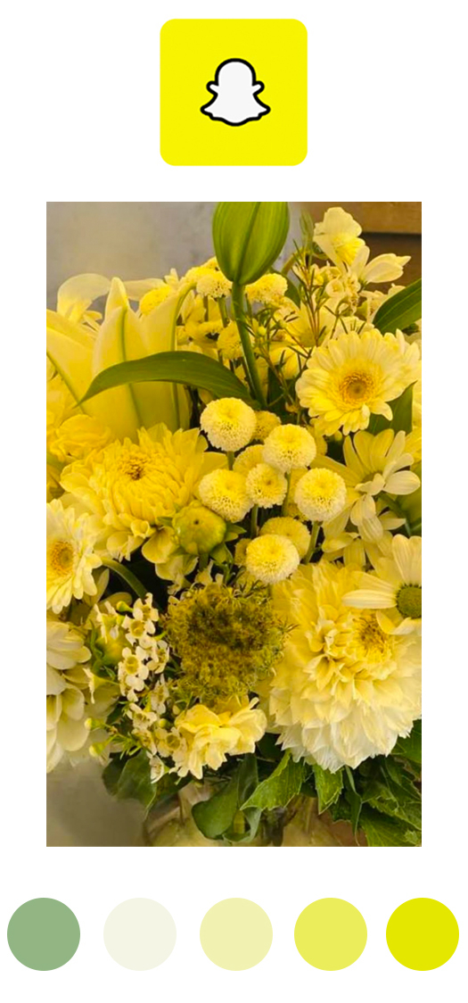 Snapchat floral design