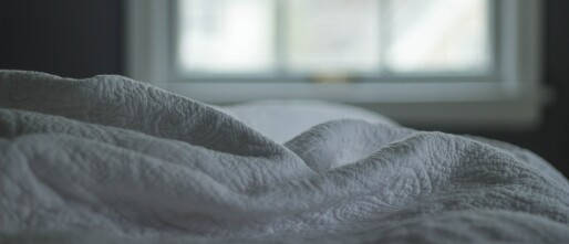 Hoe je bedwantsen in jouw vakantiewoning kunt voorkomen en behandelen