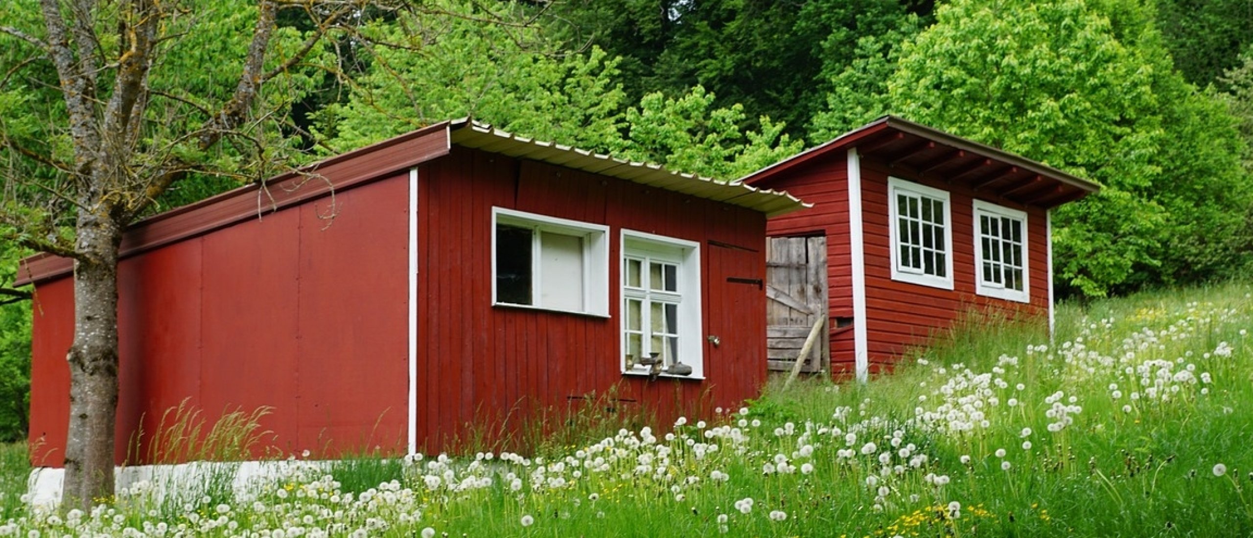 Is een tiny house als vakantiewoning rendabel?