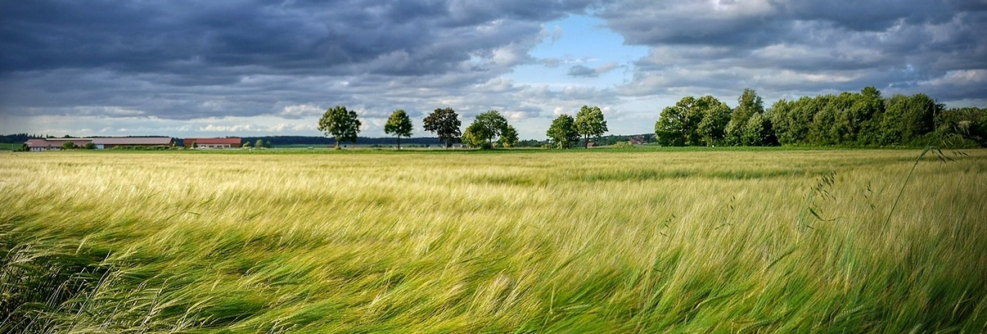 Vakantiehuis