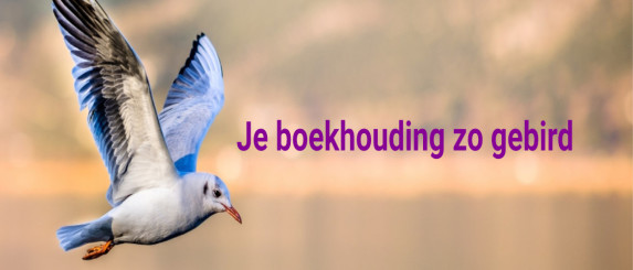 Tijd besparen in Moneybird