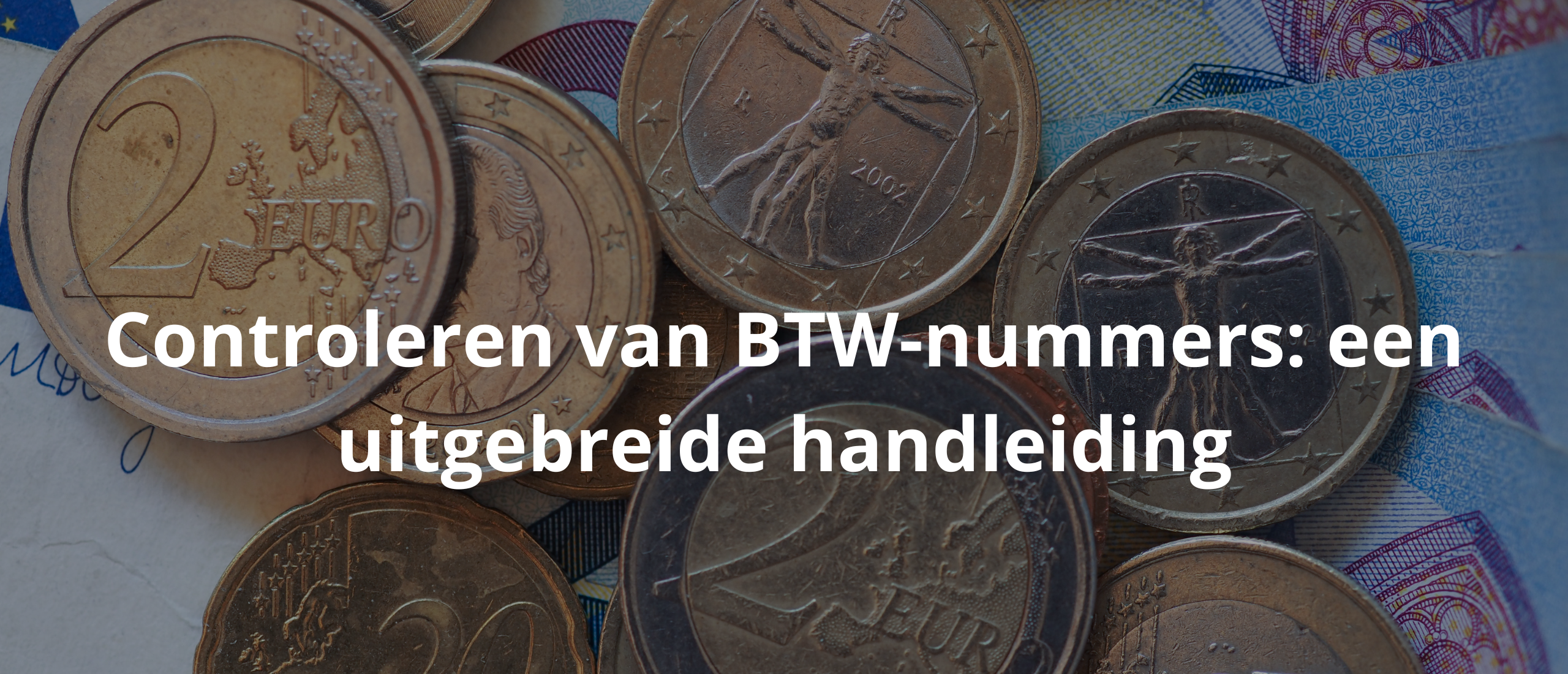 Controleren van BTW-nummers: een uitgebreide handleiding