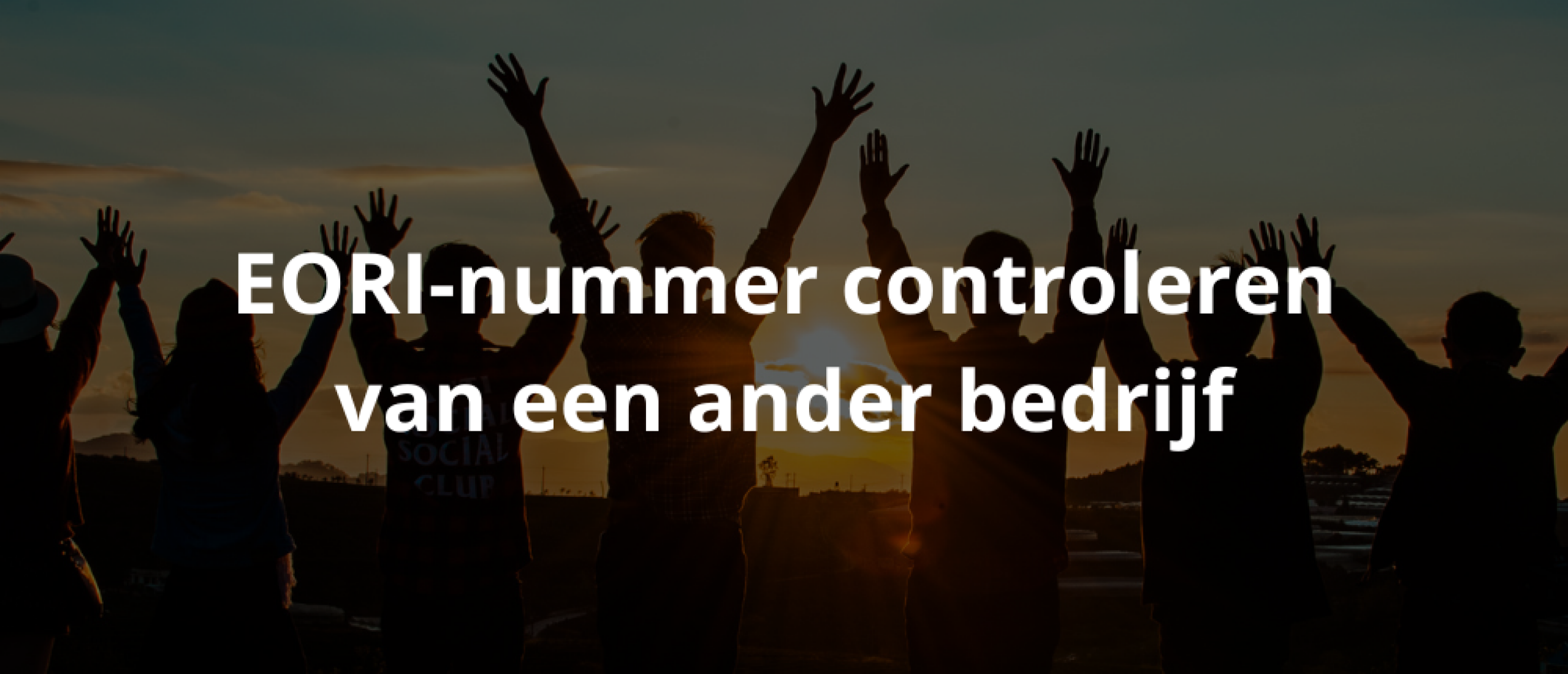 EORI-nummer controleren van een ander bedrijf