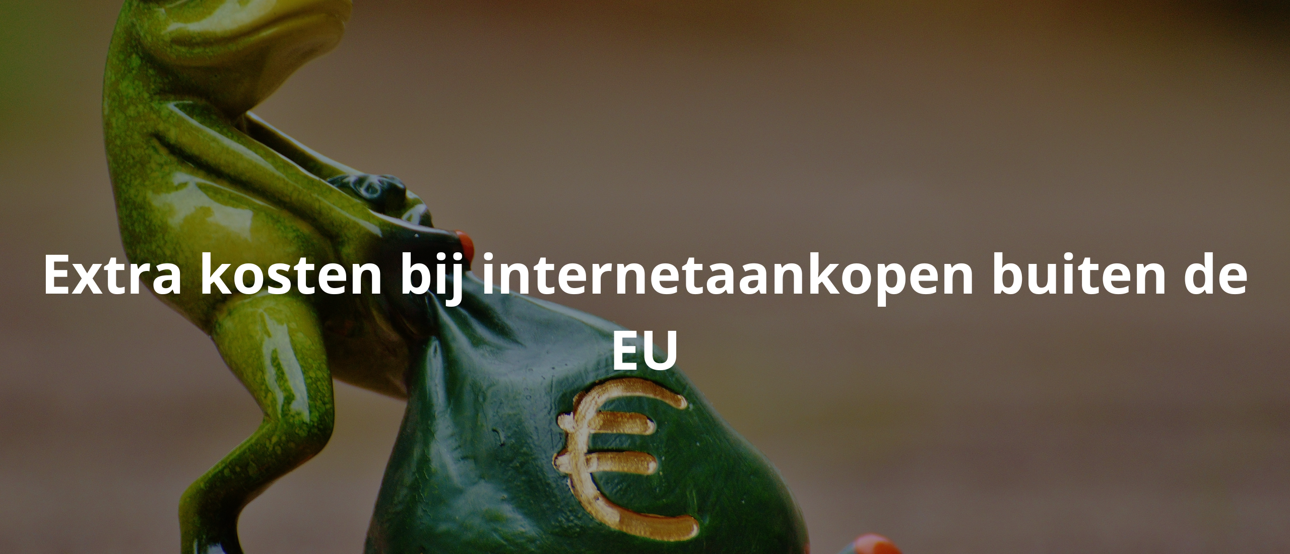 Extra kosten bij internetaankopen buiten de EU