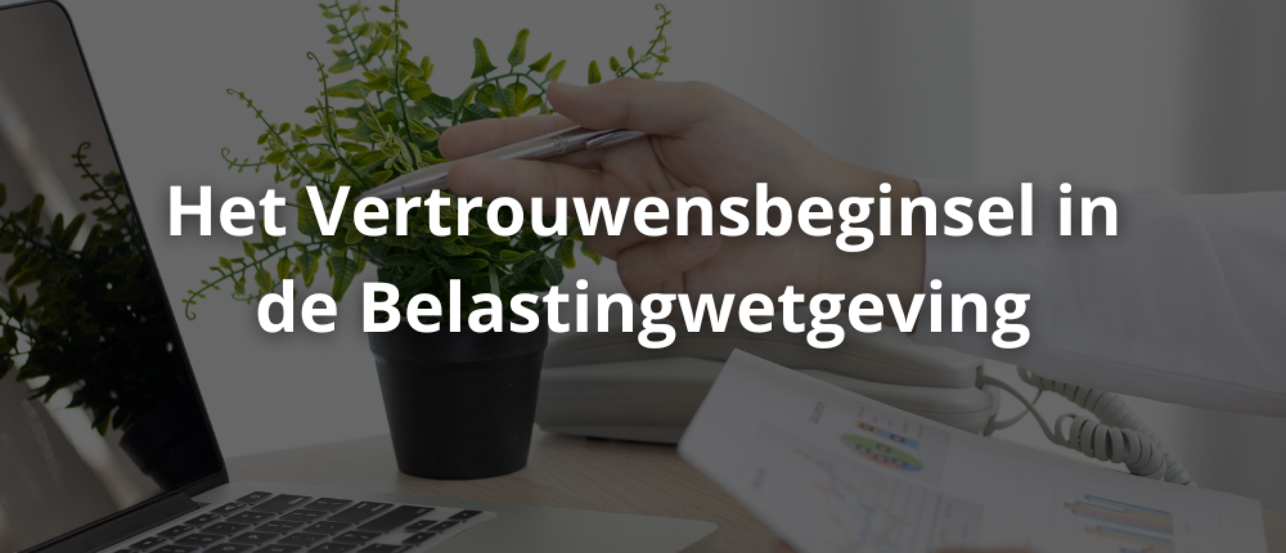 Het Vertrouwensbeginsel in de Belastingwetgeving