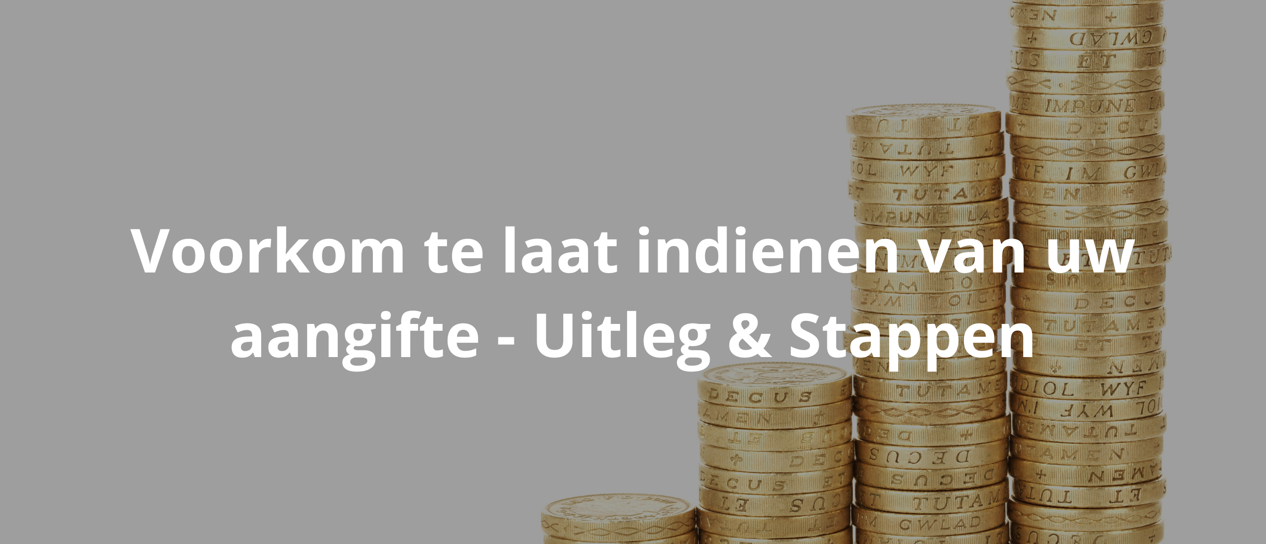 Voorkom te laat indienen van uw aangifte - Uitleg & Stappen