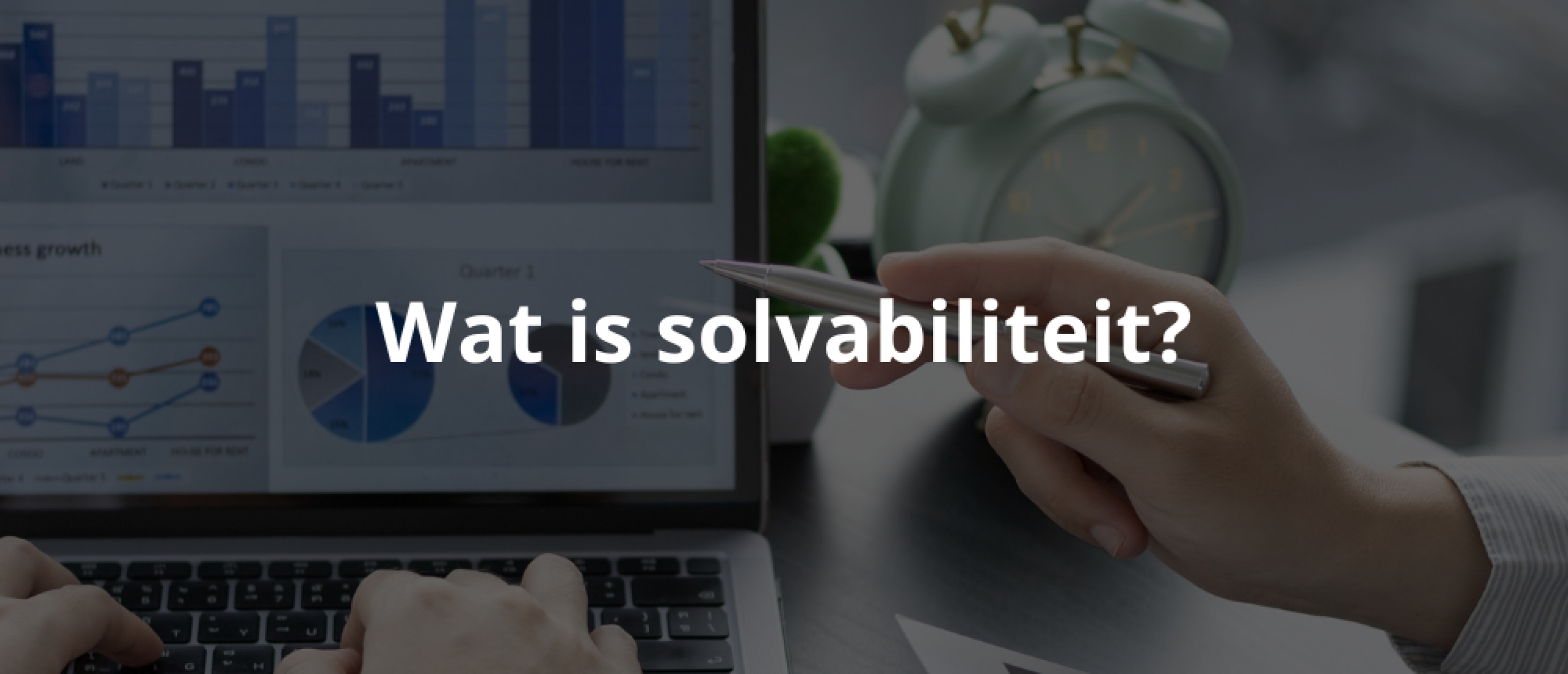 Wat is solvabiliteit en hoe berekent u het?