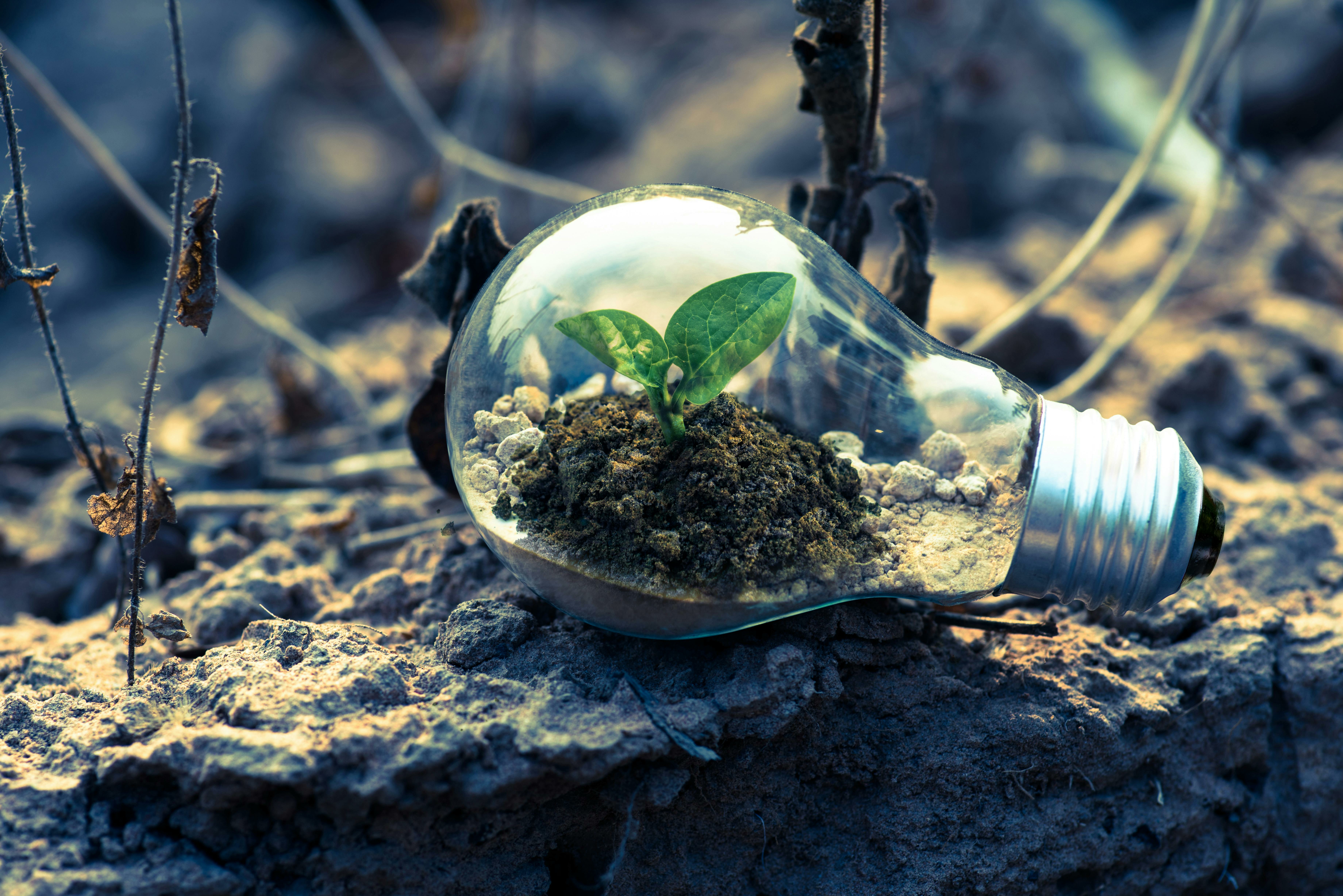 biobased materialen brandveilig