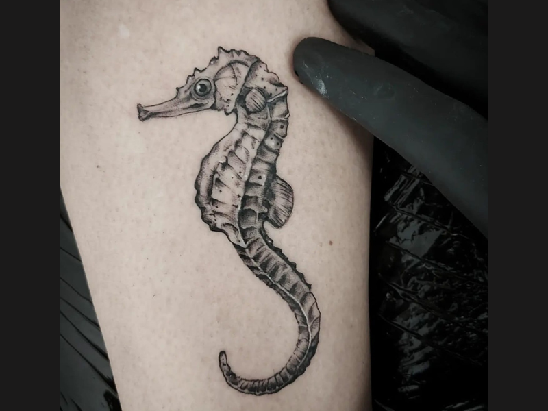 Black and grey tattoo zeepaardje