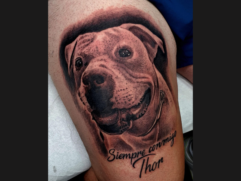 realisme tattoo portret van hond