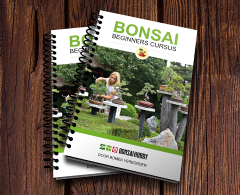 Bonsai Beginners Gids