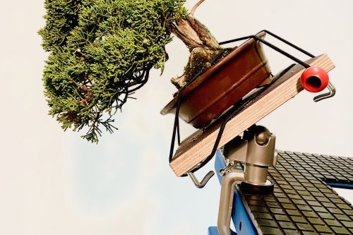 Kantelbare shohin bonsai werktafel