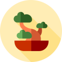 Bonsai gereedschap webshop