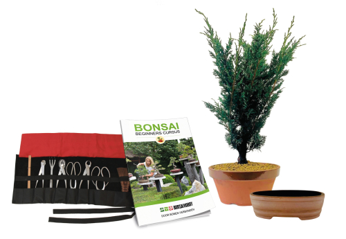 Wat is inbegrepen bij de Bonsai Beginners Cursus?