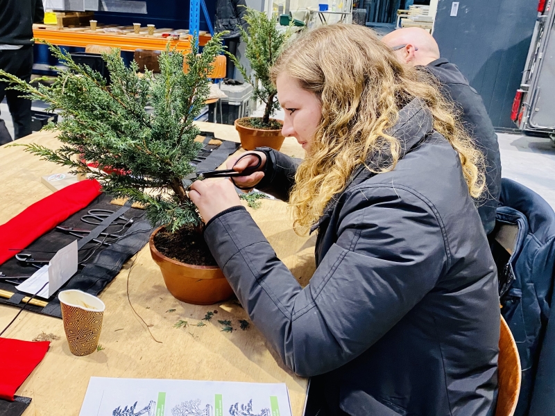 Leren snoeien bonsai beginners cursus1