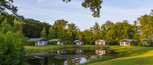 De 5 voordelen van een groepsaccommodatie op een vakantiepark