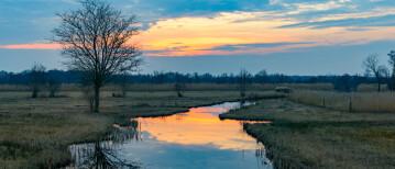 Wat is er te doen in Overijssel?