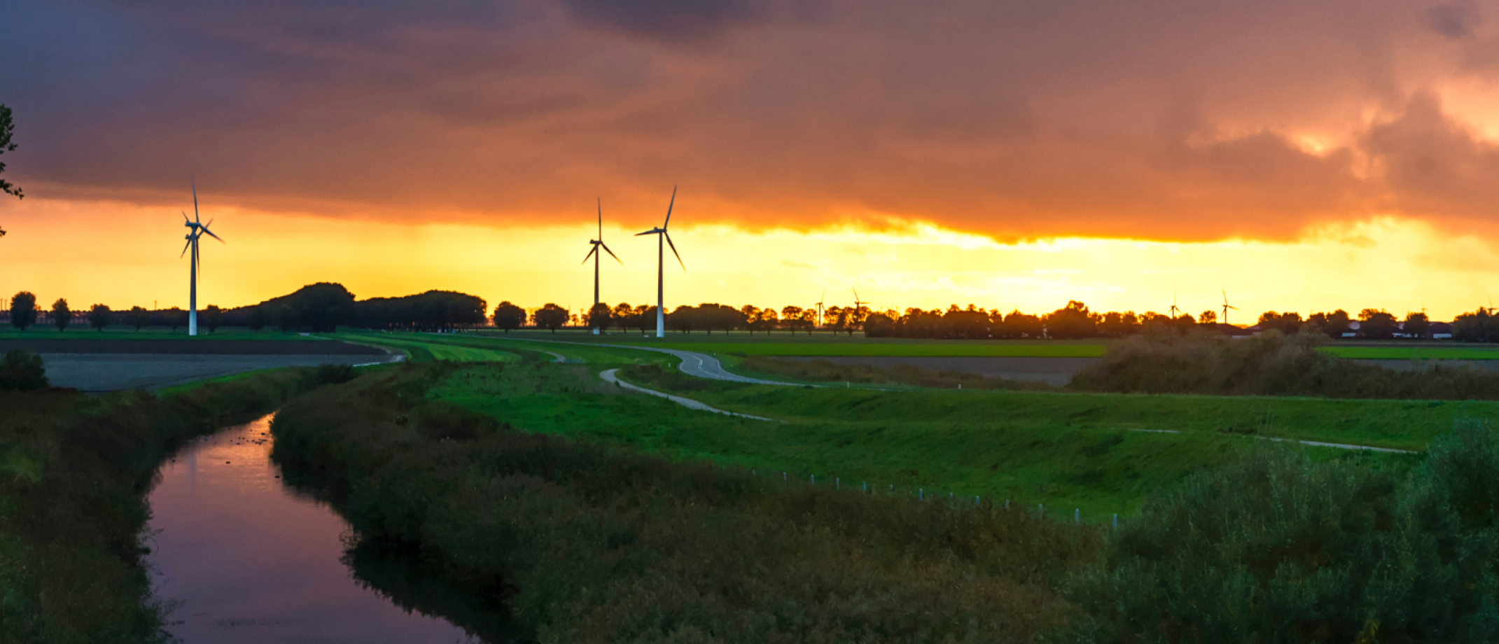 Wat Is Er Te Doen In Flevoland