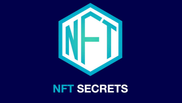 NFT cursus Mitchel van Duuren
