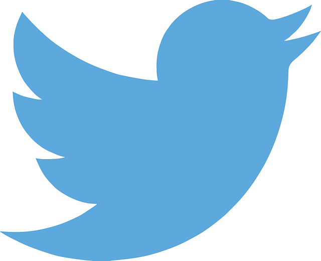 twitter nft
