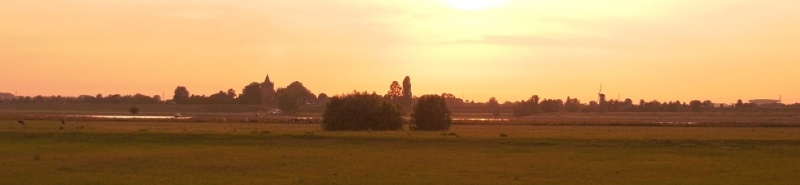 Landschap met uitkijk op toren van Varik in de Betuwe