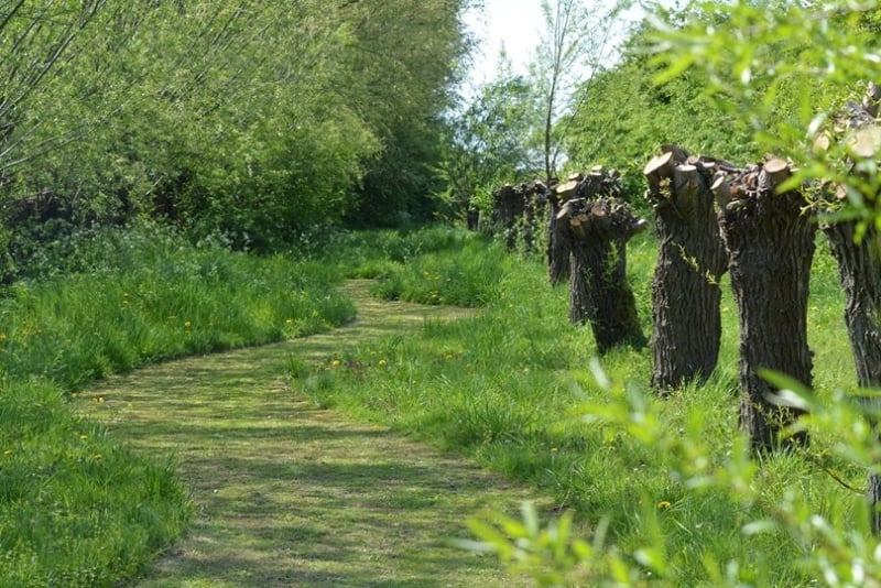 teamuitjes voor kleine groepen wandelen