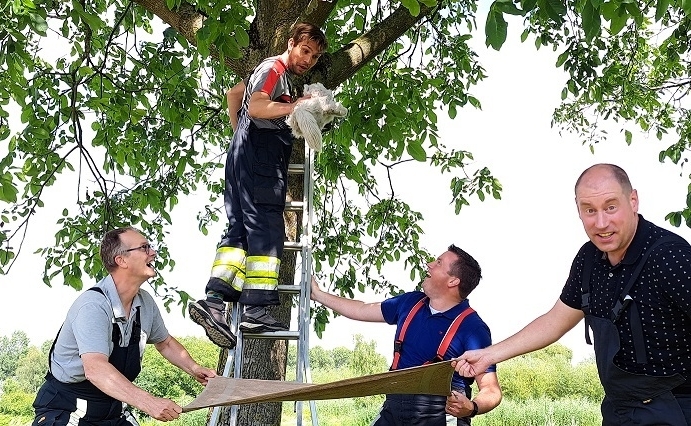 Tijdens een leuk afdelingsuitje redden de deelnemers een kat uit de boom