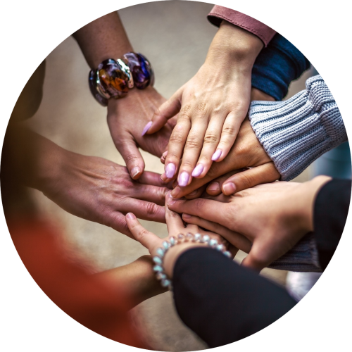 Toegang tot de online community voor de opleiding tot ademexpert Toegang tot de online community voor de opleiding tot ademexpert